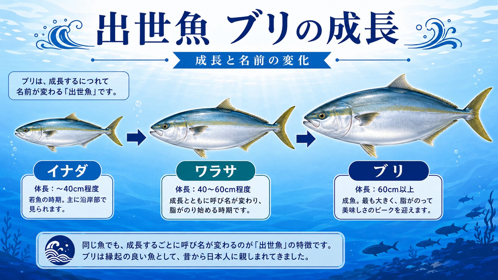 ブリ・ワラサとは
