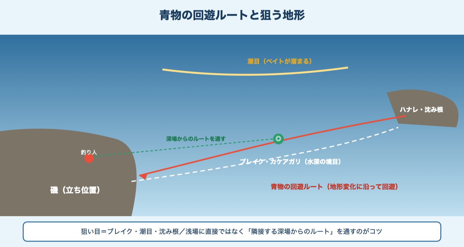 青物の回遊ルートと地形変化の図解